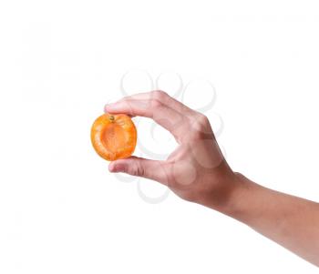 ripe apricots in a hand on a white background