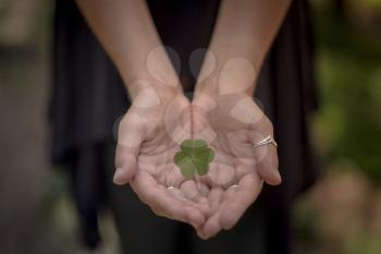 Hand holding green clover leaf sending to another hand. Blur nature background. Rim light. Little warm tone. Focus on clover leaf.