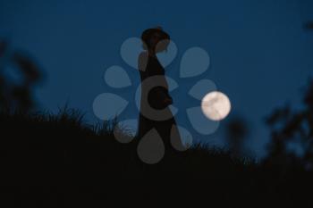 Beautiful silhouette of a young woman against a background of the night sky with a full moon