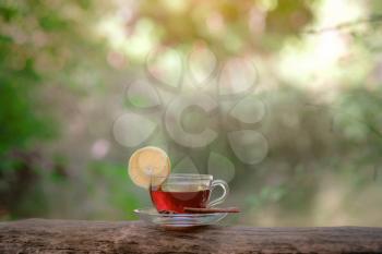 glass cup with tea in the forest, in the forest of sunlight. The concept of ecological approach, the interaction of nature and man.