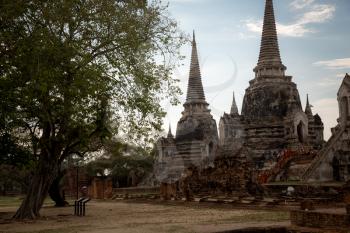 AYUTTHAYA THAILAND APRIL 7, 2017 a group of Buddhist child monks with their elder in the temple of Wat Phra Sri Sanphet, Historic City of Ayutthaya