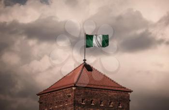 Flag with original proportions. Flag of the Nigeria