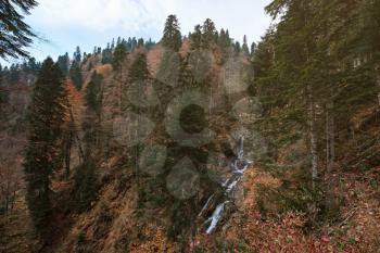 River deep in mountain forest. Nature composition. Mendelich River in the North Caucasus, Rosa Khutor, Russia, Sochi. Autumn forest, fog and rain