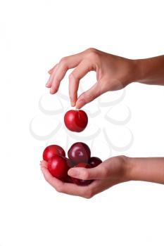 woman holds plum in hands on an isolated white background. idea and concept of healthy eating