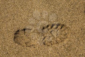 Close up of a single boot or shoe print of a right foot with grip set deeply into sand