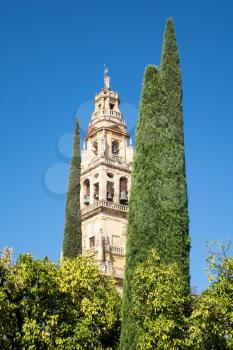 Bell tower of Mosque and Cathedral of our Lady of the Assumption in Cordoba, Andalucia, Spain