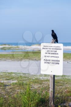 Sign post warning to keep away from protected shorebirds on Fort de Soto county park beach in Florida