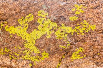 Lichen forms interesting patterns of pink orange granite rocks in Colorado mountains