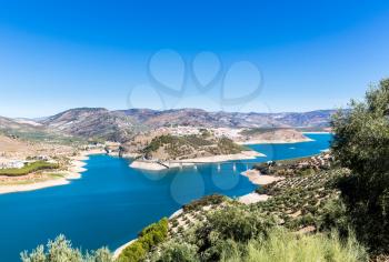 Olive trees in rows reaching to the far distance on hills and mountain sides above Lake Iznajar in Andalucia in Southern Spain