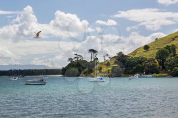 Bay and harbour at Tauranga with yachts and boats in calm water in front of the Mount