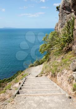 Steep path and hike around the Mount in Tauranga New Zealand