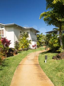 Pathway leads through tropical plants at hotel or timeshare holiday vacation resort