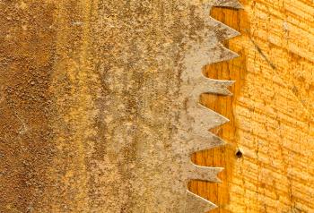 Macro image of the sharp teeth of large circular saw blade which is rusty and is placed against sawn wooden panel