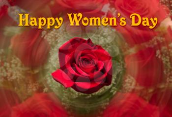 Happy Women's Day or International Womens Day celebrated on March 8th. Red rose with swirling roses background image