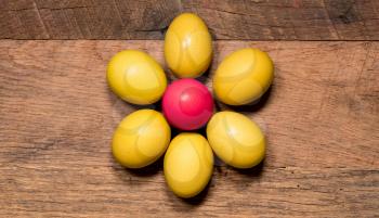 Easter background with painted organic eggs arranged in a flower shape on rustic wooden table
