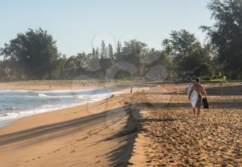 Backlit man carrying surf board across the sandy beach to the ocean in Kauai Hawaii