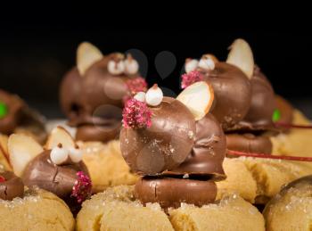Chocolate mice sitting on top of sugary cookies for Christmas treat