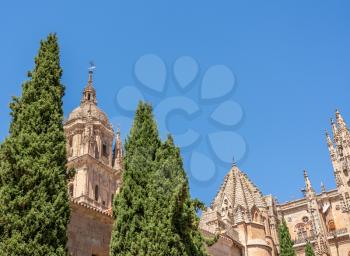 Ornate carvings and bell tower of the Old Cathedral in Salamanca