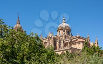 Exterior view of the dome and carvings on the roof of the old Cathedral in Salamanca