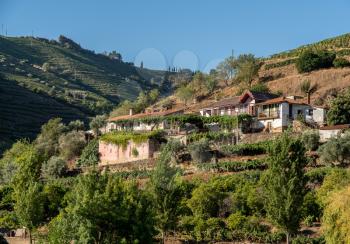 Whitewashed old Quinta or vineyard building on the banks of the River Douro in Portugal near Pinhao