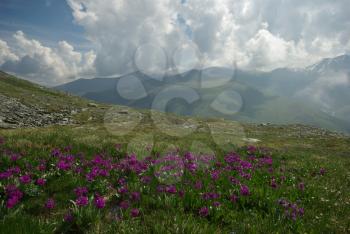 Mountain landscape. Highlands, the mountain peaks, gorges and valleys. The stones on the slopes.