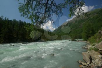 The mountain river in the mountains. Current through the gorge the river. Stones and rocky land near the river. Beautiful mountain landscape.