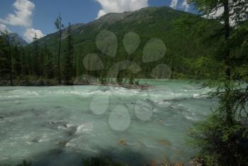 The mountain river in the mountains. Current through the gorge the river. Stones and rocky land near the river. Beautiful mountain landscape.