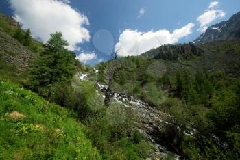 The mountain river in the mountains. Current through the gorge the river. Stones and rocky land near the river. Beautiful mountain landscape.