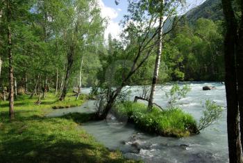 The mountain river in the mountains. Current through the gorge the river. Stones and rocky land near the river. Beautiful mountain landscape.