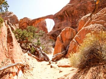 Nature National Park, Utah. The landscape and rocks. Roads and propinki Park, Utah.