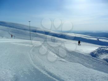 Skiing. Training ride on skis. Winter sport