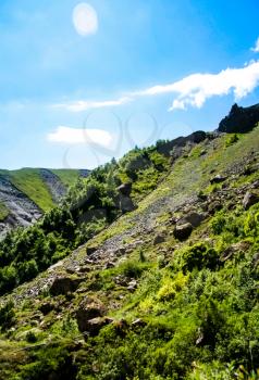 Mountain landscape with grass in the hills. Mountain landscape. Mountain vegetation.