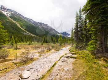 Mountains and forests in Canada. The pristine nature of the Canadian landscape.