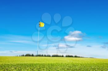 Golf field, focus on the grass, shallow depth of field
