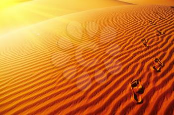 Footprints on sand dune, Sahara Desert, Algeria
