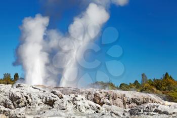 Pohutu Geyser, Whakarewarewa Thermal Valley, Rotorua, New Zealand