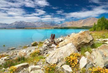 Tekapo lake and Southern Alps, New Zealand