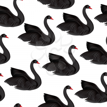 Black bird seamless pattern. Wildlife background. Swimming swans couples
