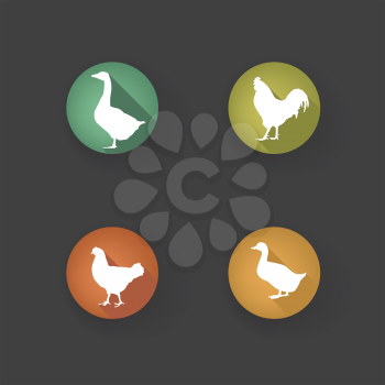 Farm birds silhouette. Animals vector set. Livestock icons. 