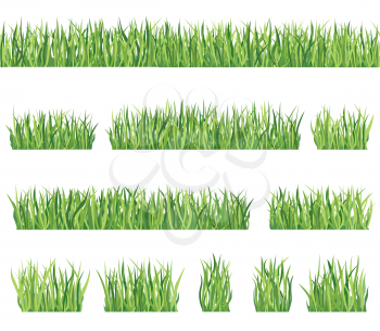 Grass border background set. Summer icon and seamless frame collection.