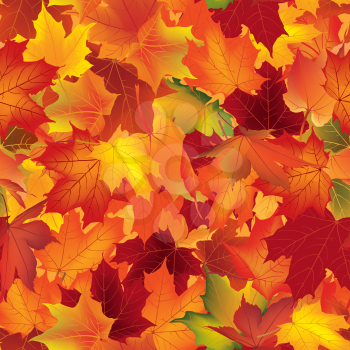 Autumn texture. Wallpaper with maple leaves. Fall seamless pattern. Nature background.