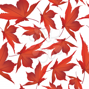 Autumn leaves background. Floral seamless pattern. Fall leaf nature