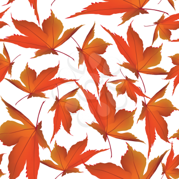 Autumn leaves background. Floral seamless pattern. Fall leaf nature
