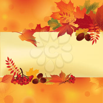 Autumn frame. Fall leaves and berries. Nature floral background. Floral seasonal leaf wallpaper