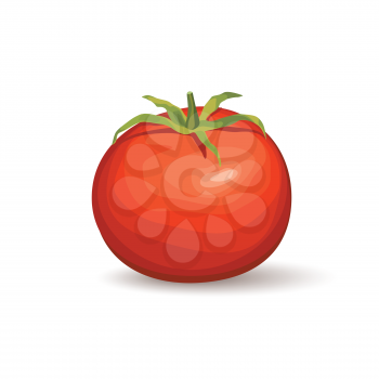 Tomato. Vegetable logo. Vector illustration of naural product tomato.
