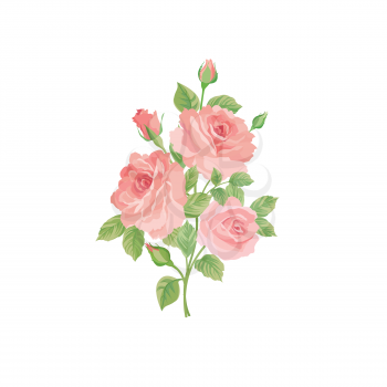 Floral bouquet isolated over white background. Flower rose posy. Greeting card with flowers roses. Flourish wallpaper