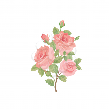 Flower rose bouquet. Floral posy isolated over white background Watercolor vector flourish summer decor design