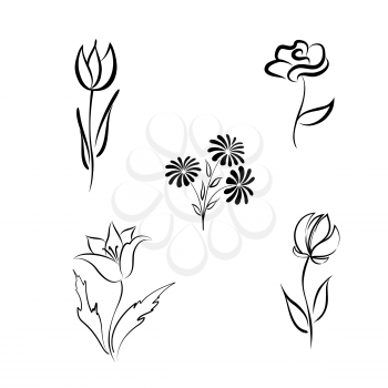 Flower set. Engraved hand drawing floral background design elements Different flowers isolated. Line fine art