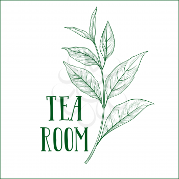 Green tea tree branch herb label with lettering TEA ROOM. Tea leaves card background for hot beverage menu design