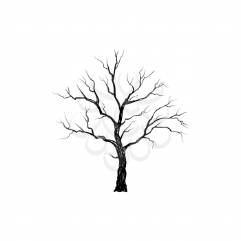 Tree without leaves isolated. Nature sign Vector illustration